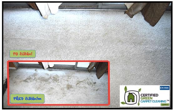 Čištění koberců v restauracích