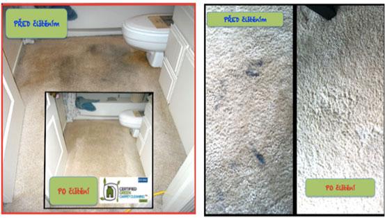 Hloubkové antialergenní odprašnění a vyklepání koberců