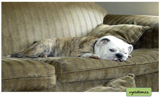 Ochrana koberců proti bakteriím