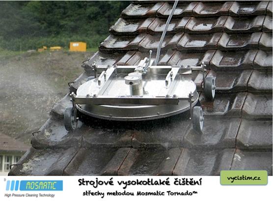 Odstraňování mechů 