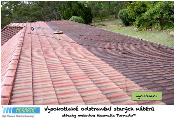 Odstraňování zelených povlaků ze střešní krytiny 