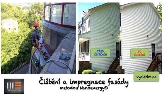 Odstraňování zeleně z fasád